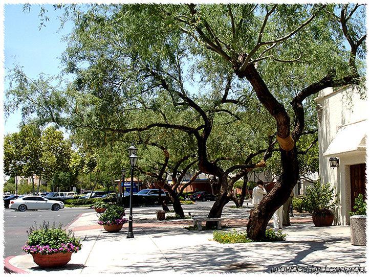 Homewood Suites Tucson St. Philip'S Plaza University Dış mekan fotoğraf